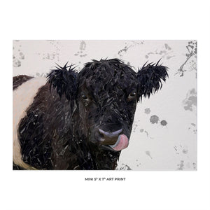 "Eugene" The Belted Galloway Bull (Grey Background) 5x7 Mini Print - Andy Thomas Artworks