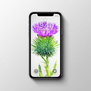 The Thistle Phone Wallpaper - Andy Thomas Artworks