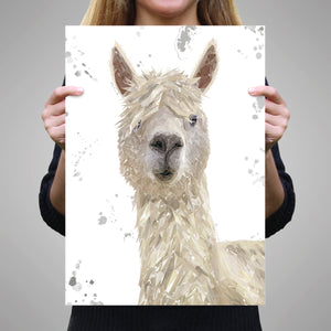 "Rowland" The Alpaca (Grey Background) Unframed Art Print - Andy Thomas Artworks